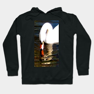 Swan Hoodie